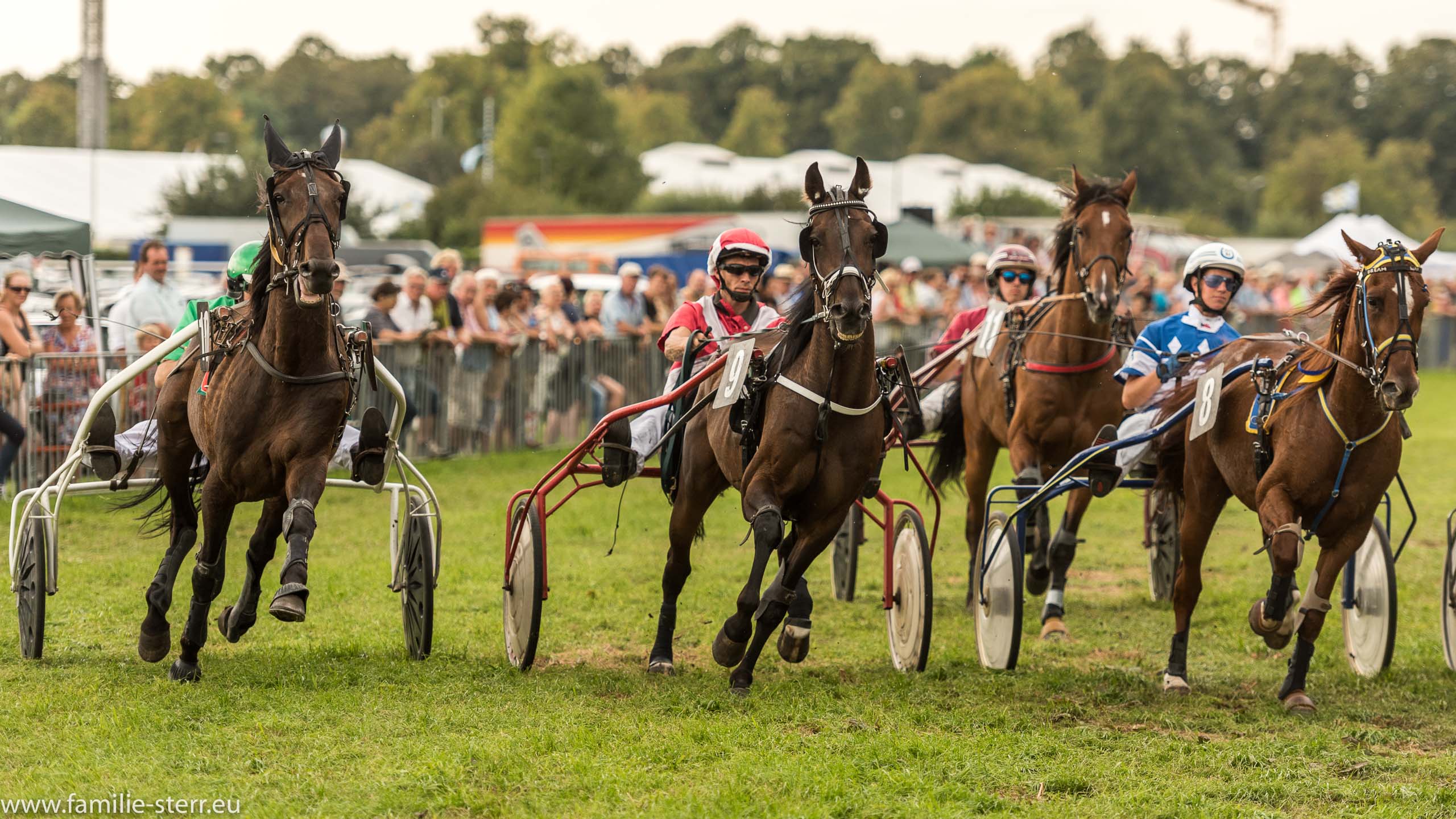 Trabrennen in Erding 2017